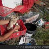 浙江省台州市目前卖兔子颗粒饲料免运费