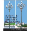 呼伦贝尔市路灯杆太阳能灯杆|交通信号灯杆太阳能路灯杆