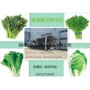 北京娃娃菜保鲜用真空预冷机蔬菜快速打冷保鲜设备